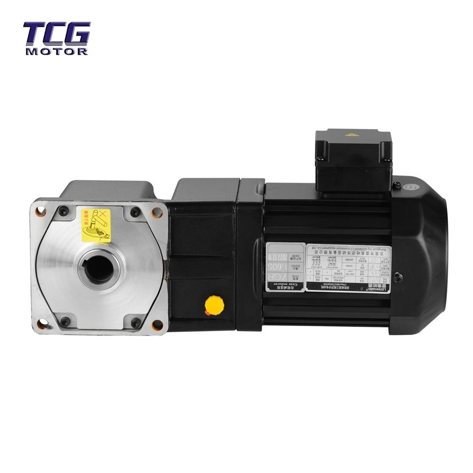 Ac Gear Motor Surplus high quality