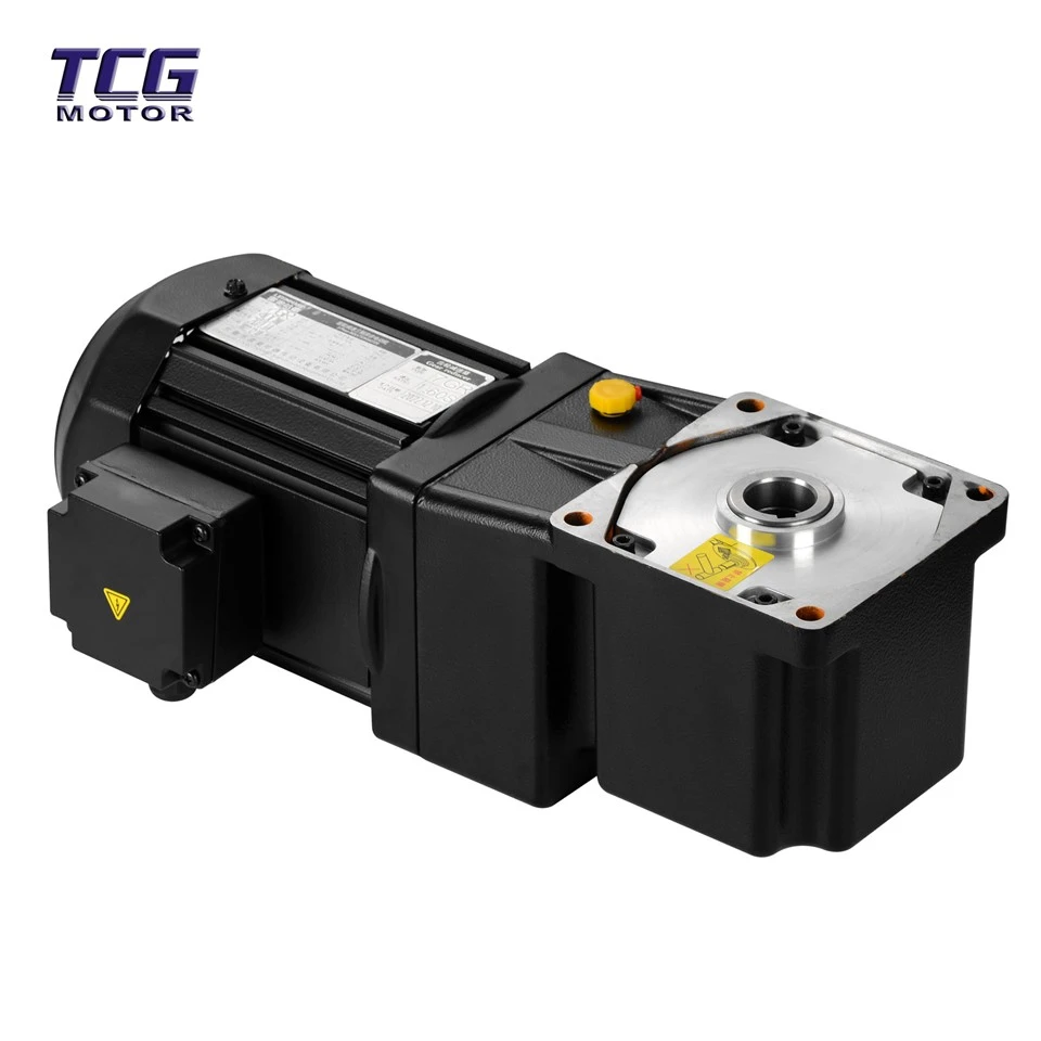 Ac Gear Motor Variable Speed