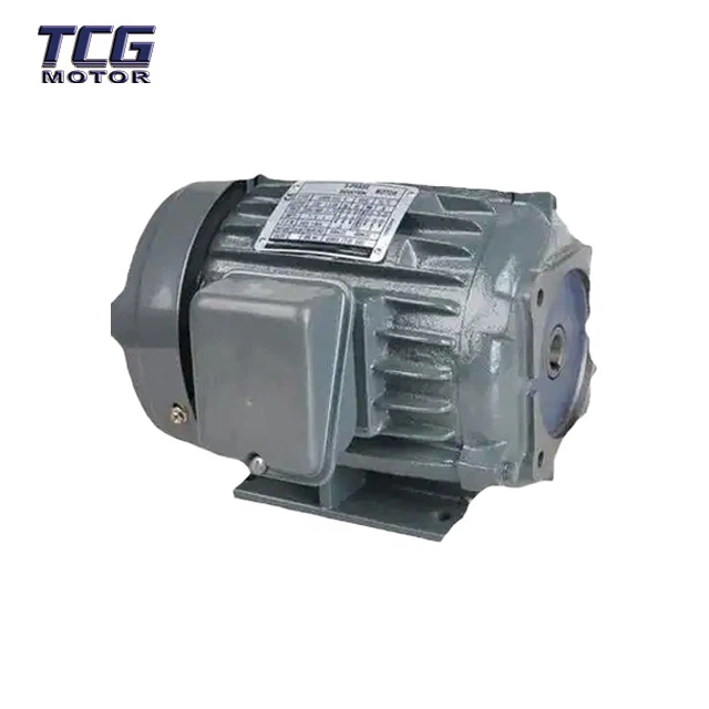 Car Washer Hollow Shaft Motor