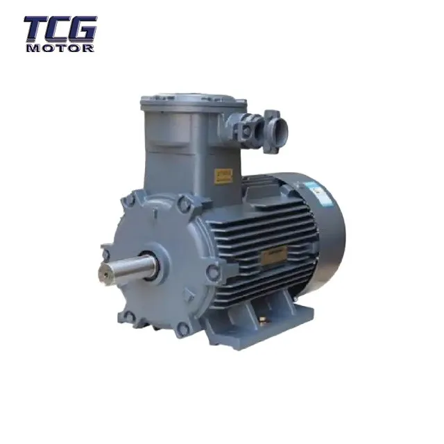 low voltage ac motor